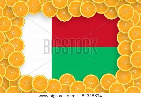 Madagascar Flag  In Fresh Citrus Fruit Slices Frame