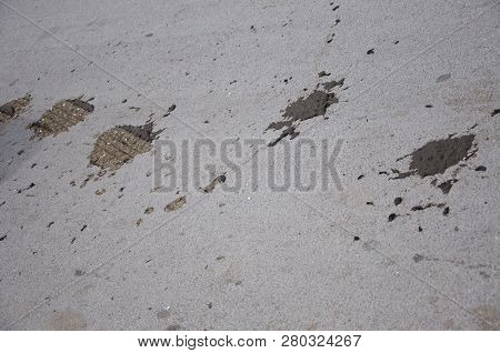 Rural Area. Tire Marks Over Cow Poop On Asphalt Road. Tire Tracks And Animal Excrement On Rural Road