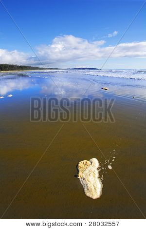 Breda sandstranden och havet skum på sand under utflöde