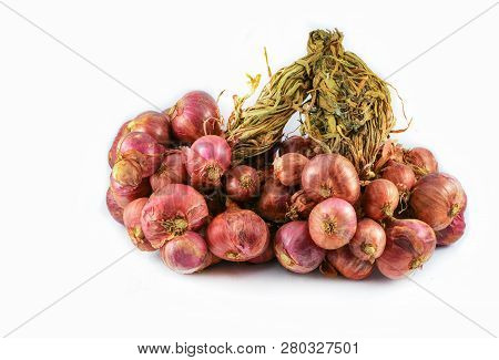 Shallots Isolated / Pile Bunch Shallot Dry Onion On White Background - Allium Ascalonicum