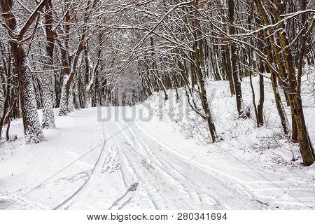 Silence On A Winter Road In The Forest. Lots Of Snow In Winter Time