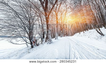 Silence On A Winter Road In The Forest. Lots Of Snow In Winter Time