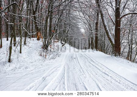 Silence On A Winter Road In The Forest. Lots Of Snow In Winter Time