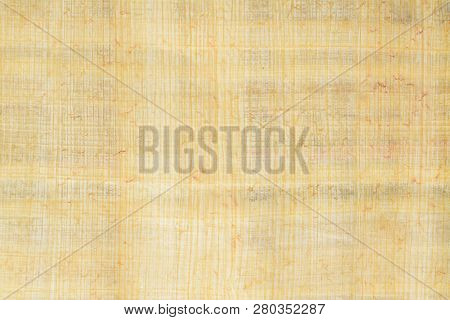 Real Old Payrus Paper Background And Texture Number 10. Close Up Macro.