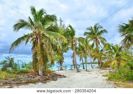 Paradise Wild Beach On Eleuthera Island, Bahamas