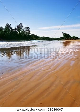 Ocean utflöde på en enorm stranden av ön Vancouver i Kanada