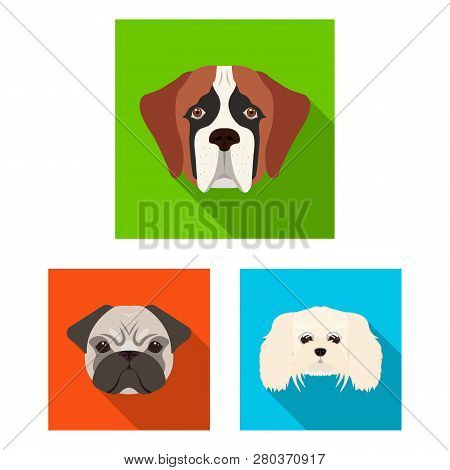Vector Illustration Of Cute And Puppy Sign. Set Of Cute And Animal Stock Vector Illustration.