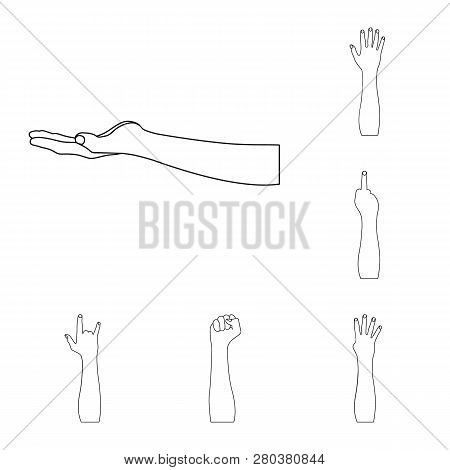 Vector Design Of Animated And Thumb Icon. Set Of Animated And Gesture Vector Icon For Stock.