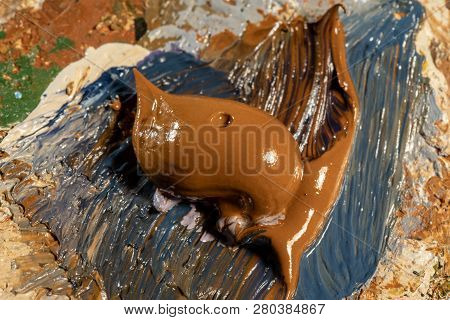 Oil Art Paints On A Very Old Palette. Close-up