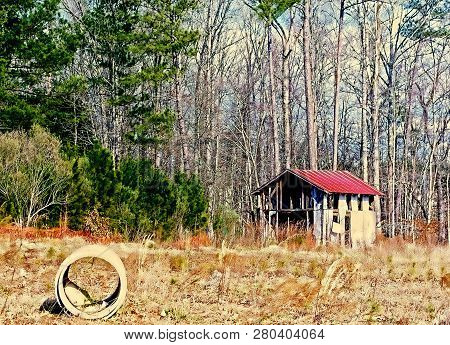 Shed In Wooded Area In Detracted State