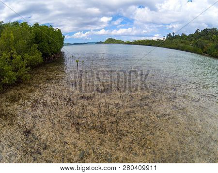 Mangrove Forest On Seashore Landscape. Tropical Forest And Seaside In Fisheye Lens. Round Horizon Se