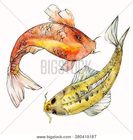 Watercolor Aquatic Underwater Colorful Tropical Fish Set. Red Sea And Exotic Fishes Inside: Goldfish
