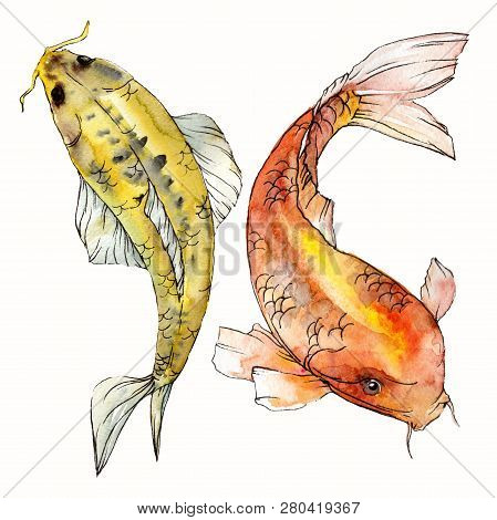 Watercolor Aquatic Underwater Colorful Tropical Fish Set. Red Sea And Exotic Fishes Inside: Goldfish