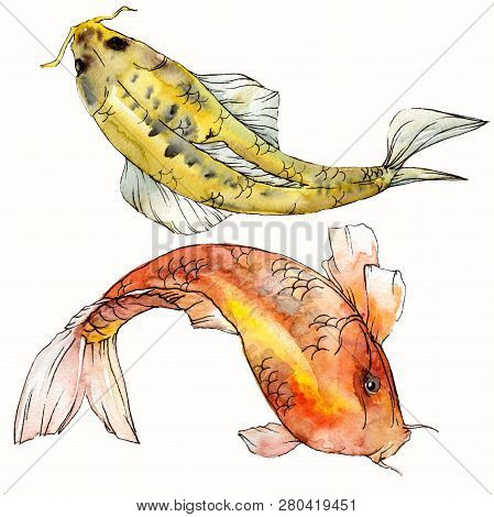 Watercolor Aquatic Underwater Colorful Tropical Fish Set. Red Sea And Exotic Fishes Inside: Goldfish