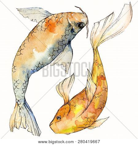 Watercolor Aquatic Underwater Colorful Tropical Fish Set. Red Sea And Exotic Fishes Inside: Goldfish