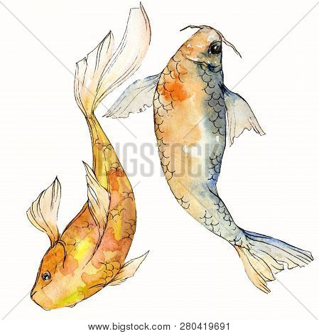 Watercolor Aquatic Underwater Colorful Tropical Fish Set. Red Sea And Exotic Fishes Inside: Goldfish