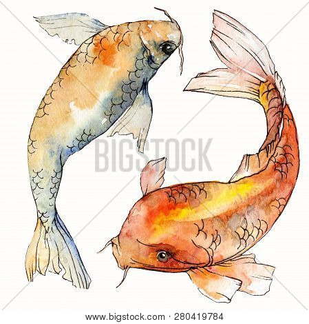 Watercolor Aquatic Underwater Colorful Tropical Fish Set. Red Sea And Exotic Fishes Inside: Goldfish