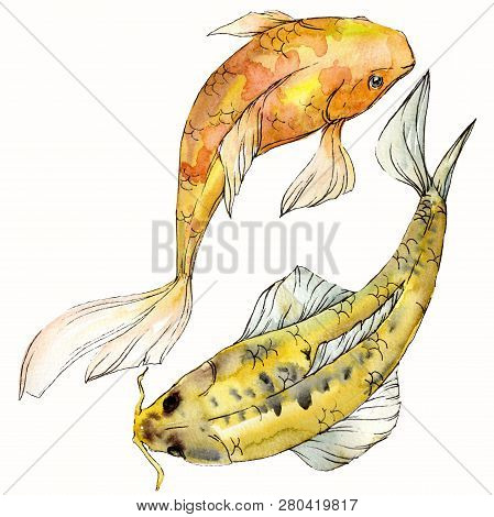Watercolor Aquatic Underwater Colorful Tropical Fish Set. Red Sea And Exotic Fishes Inside: Goldfish