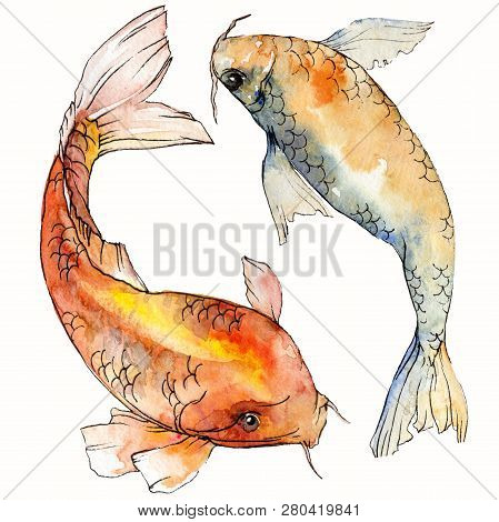 Watercolor Aquatic Underwater Colorful Tropical Fish Set. Red Sea And Exotic Fishes Inside: Goldfish