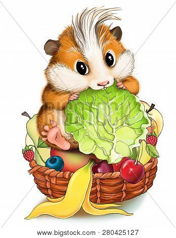Funny Cartoon. Illustration. Weggy Hamster Eats A Salad. Sits On A Fruit Basket.