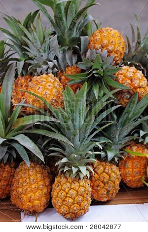 Malebné holiday Bazar stání v předvečer Sukkoth. Ananas
