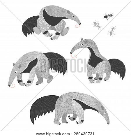 Set Of Cute Ant-eaters And Ants. Vector Illustration.