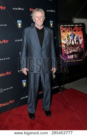LOS ANGELES - JAN 22:  Gary Busey at the 
