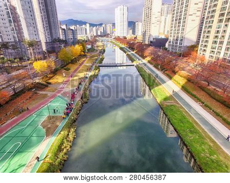 Autumn Of Oncheoncheon Citizen Park, Busan, South Korea