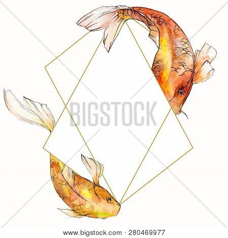 Watercolor Aquatic Underwater Tropical Fish Set. Red Sea And Exotic Fishes Inside: Goldfish. Frame B
