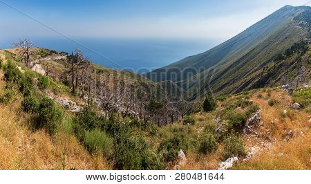 Summer Llogara Pass View With Dry Trees And Thistle On Slope (albania)