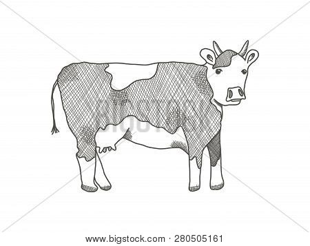 Black Outline Cow On White Background. Cute Sketchy Hand Drawn Cows Illustration With Blobs And Horn