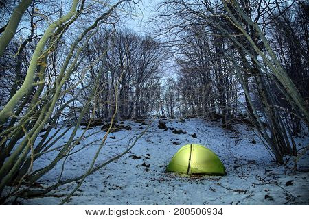 lighting tent in bare beechwood in winter Etna Park at twilight, Sicily