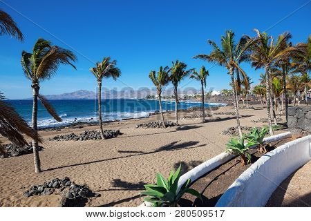 Puerto Del Carmen Beach In Lanzarote, Canary Islands, Spain. Blue Sea, Palm Trees, Selective Focus