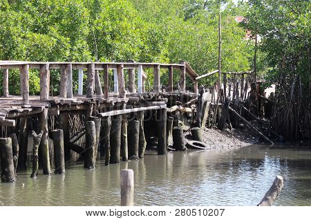 Old Broken Wooden Bridge Over The River, Green Tree Background