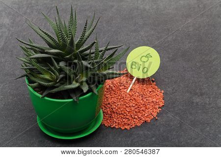 Mineral Fertilizer With Phosphorus In Red Close Up