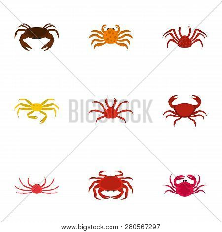 Types Of Crab Icons Set. Cartoon Set Of 9 Types Of Crab Icons For Web Isolated On White Background