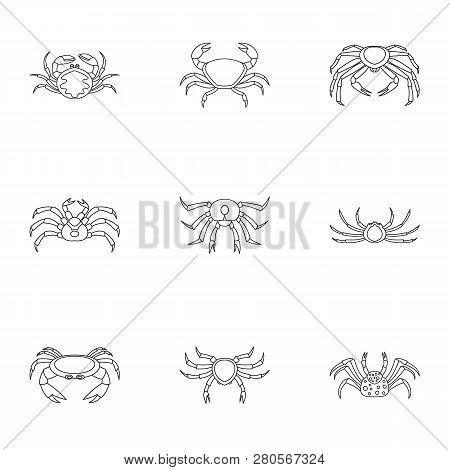 Types Of Crab Icons Set. Outline Set Of 9 Types Of Crab Icons For Web Isolated On White Background