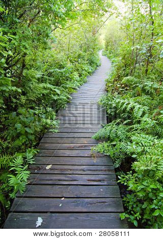 Beaver Lake Nature Center boardwalk