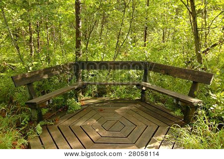 Beaver Lake Nature Center boardwalk