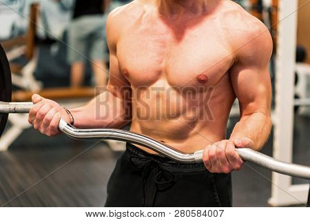 Close-up Torso Of Male Athlete At Gym