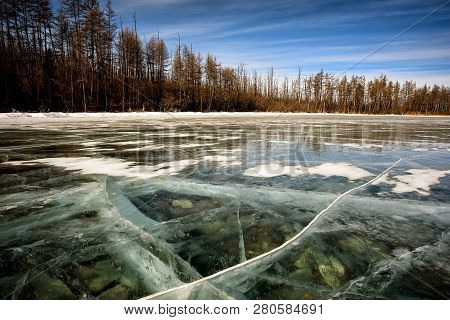 Frozen Lake Khubsugul. Beautiful Forest Near The Ice Surface On A Frosty Day. Natural Background