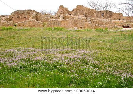 Aztec ruins National Monument native american indian Ruinen