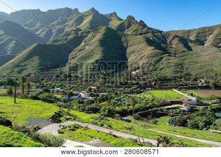 Fertile Valley With Mango And Oranges Fruit Plantations, Vineyards And Avocados Orchards Near Agaete