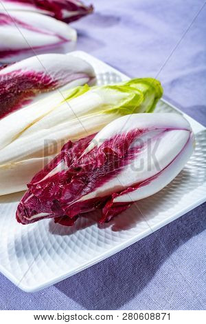 Group Of Fresh Green Belgian Endive Or Chicory And Red Radicchio Vegetables, Also Known As Witlof Sa