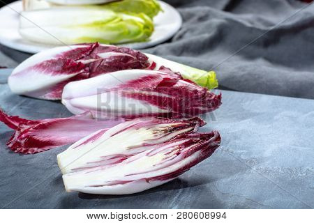 Group Of Fresh Green Belgian Endive Or Chicory And Red Radicchio Vegetables, Also Known As Witlof Sa