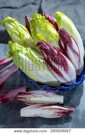 Group Of Fresh Green Belgian Endive Or Chicory And Red Radicchio Vegetables, Also Known As Witlof Sa