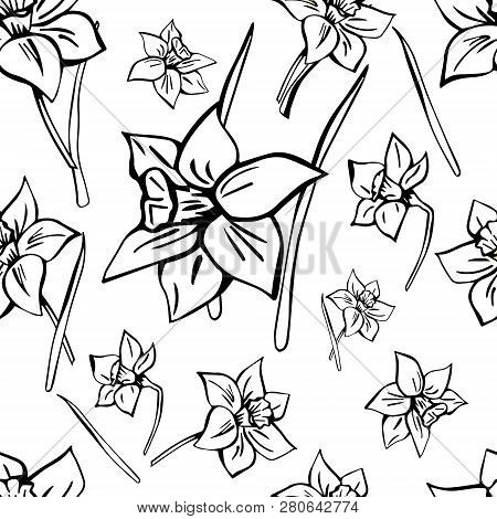 Hand Drawn Vector Seamless Floral Pattern. Monochrome Picture