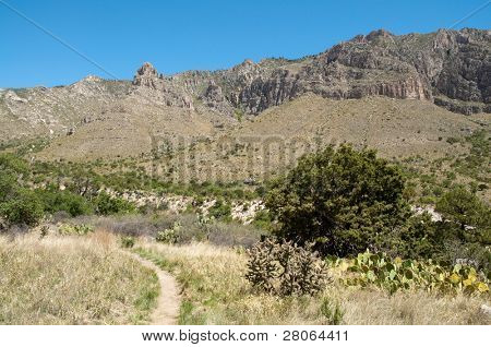 Falaises de Tejas Canyon