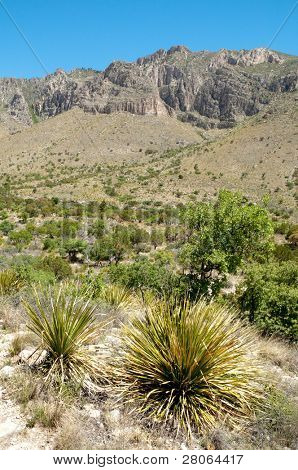 Falaises de Tejas Canyon