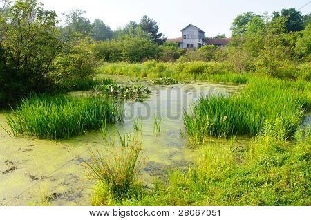พื้นที่ชุ่มน้ำ และป่า และศูนย์นักสังคม Jamestown audubon นิวเจอร์ซีย์